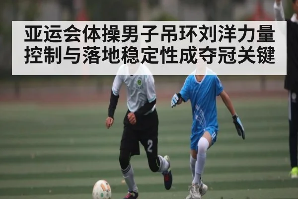 亚运会体操男子吊环刘洋力量控制与落地稳定性成夺冠关键